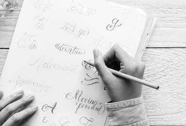 樊振东正式亮相德甲 8月31日迎首秀