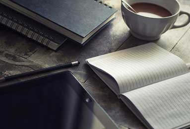 樊振东正式亮相德甲 8月31日迎首秀